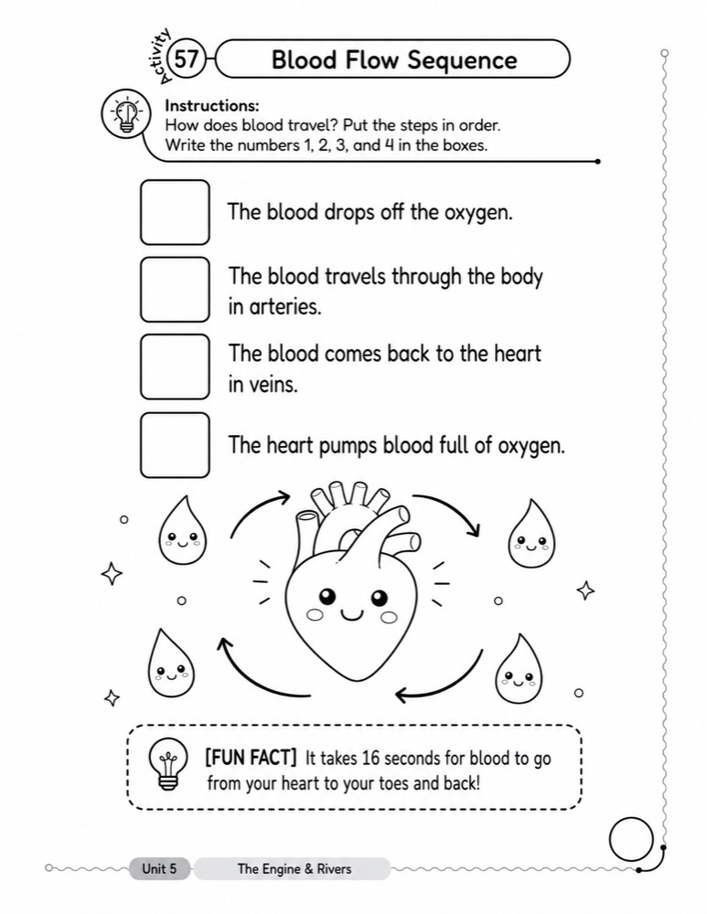 Worksheet page with four sequence boxes in a plain vertical list, with a heart illustration and decorative arrows below them.