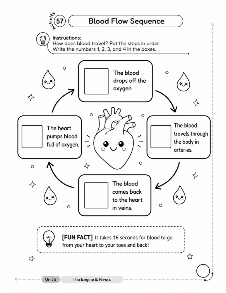 Worksheet page with four sequence boxes arranged in a circle, connected by four curved arrows around a heart illustration.